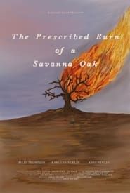The Prescribed Burn of a Savanna Oak series tv