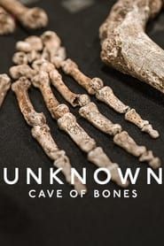 Voir Unknown: Cave of Bones en streaming