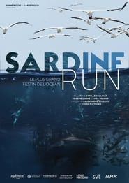 Sardine run, le plus grand festin de l'océan series tv