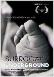 Surrogacy Underground series tv
