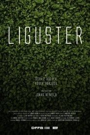 Liguster 2023 streaming