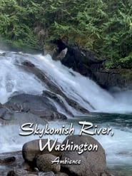Skykomish River Ambience ()