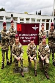 Pegasus Company series tv