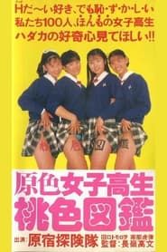 Primary Colour High School Girl Pink Picture Book (1990)