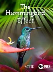 The Hummingbird Effect series tv