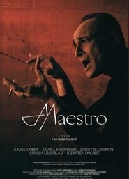 Maestro series tv