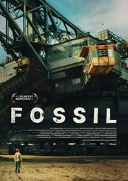 Fossil-hd