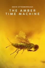 The Amber Time Machine series tv