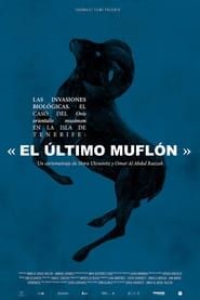 Las invasiones biológicas. El caso del Ovis orientalis musimon en la isla de Tenerife: «El último muflón» (2023)