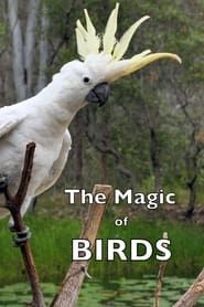 The Magic of BIRDS series tv