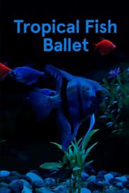 Image Tropical Fish Ballet