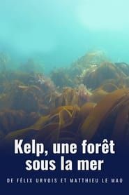 Image Kelp, une forêt sous la mer