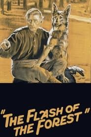 The Flash of the Forest (1928)