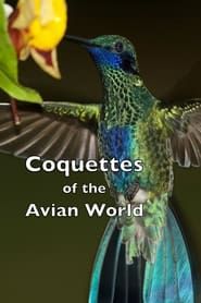 Image Coquettes of the Avian World 2023