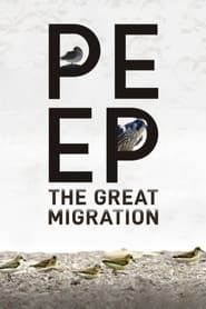 Image Peep: The Great Migration