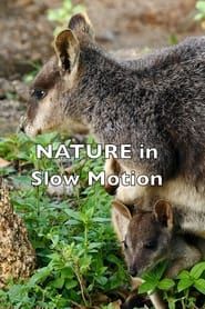 Nature In Slow Motion series tv