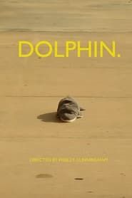 Image dolphin.