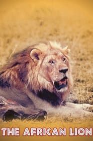 Image Lions d'Afrique