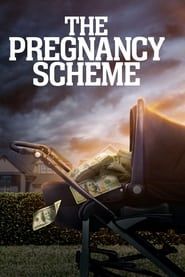 The Pregnancy Scheme series tv