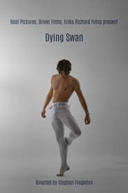 Image Dying Swan