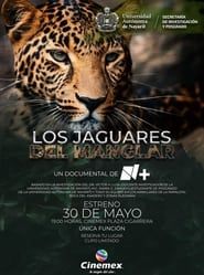 Los Jaguares del Manglar series tv
