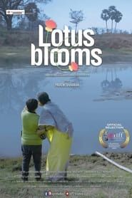 Lotus Blooms (2023)