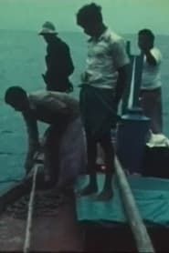 Bateaux et modes de pêche aux Maldives series tv
