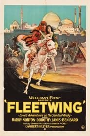Fleetwing series tv