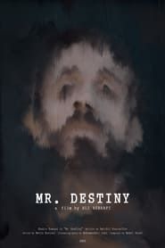 Image Mr Destiny
