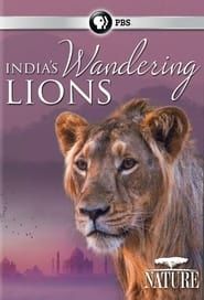 India's Wandering Lions 2016 streaming