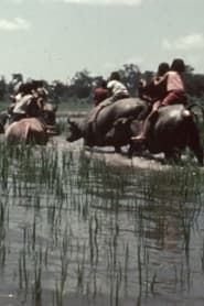 La fête des eaux à Vientiane (1967)