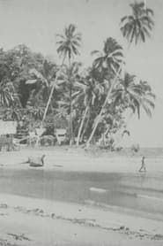 Bougainville (1935)