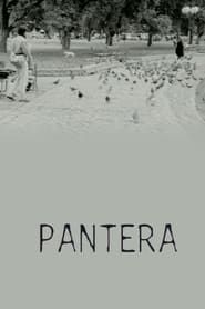 watch Pantera