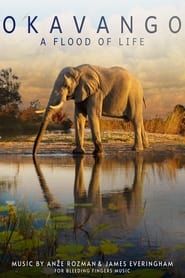 Image L'Okavango, source de vie