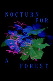 Image Nocturne for a Forest