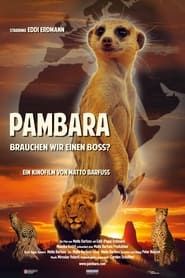 Pambara - Brauchen wir einen Boss? series tv