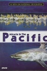 Miracle in the Pacific (2004)
