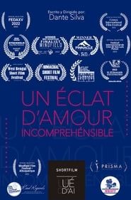 Un Eclat d´Amour Incompréhensible 2022 streaming
