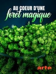 Au cœur d'une forêt magique series tv