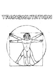 Image Transmutation