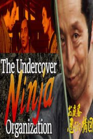 The Undercover Ninja Organization series tv
