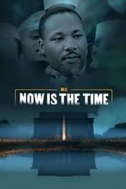 Image MLK: Now Is the Time