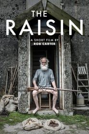 The Raisin (2017)