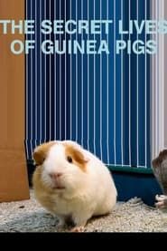 Image The Secret Lives of Guinea Pigs 