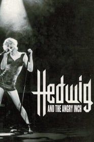 Hedwig and the Angry Inch series tv