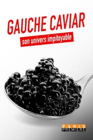 Gauche caviar, son univers impitoyable series tv