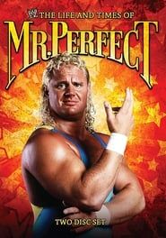 The Life and Times of Mr. Perfect series tv