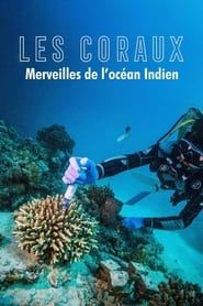 Zauber der Korallenriffe: Der Indische Ozean series tv