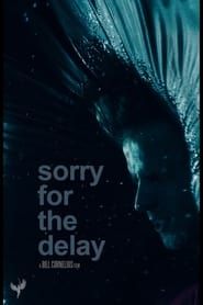 Sorry for the Delay series tv