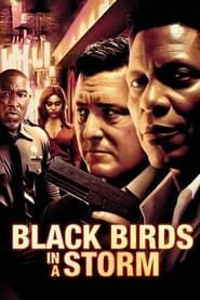 Black Birds in a Storm series tv